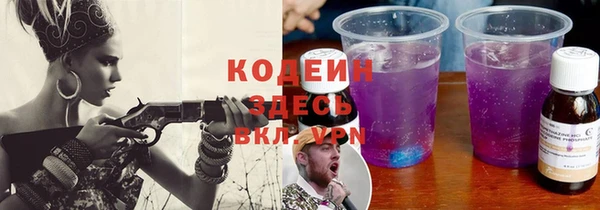 индика Бронницы