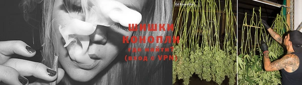индика Бронницы