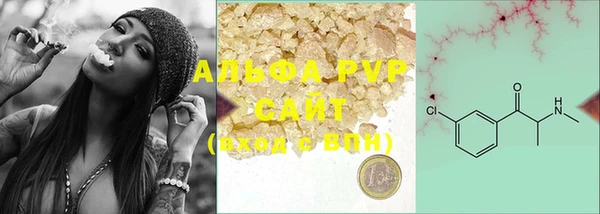 прущие грибы Бугульма