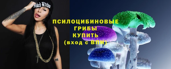 прущие грибы Бугульма
