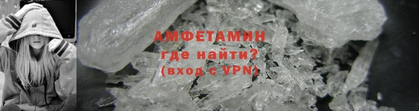 индика Бронницы
