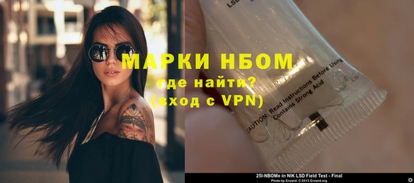 индика Бронницы