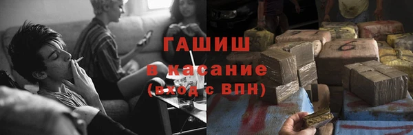 индика Бронницы