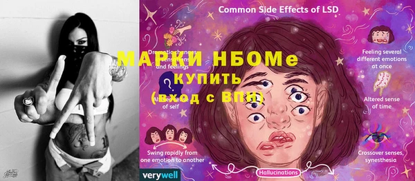 прущие грибы Бугульма