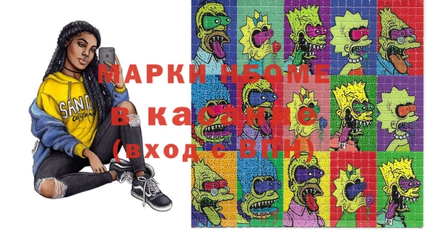 индика Бронницы