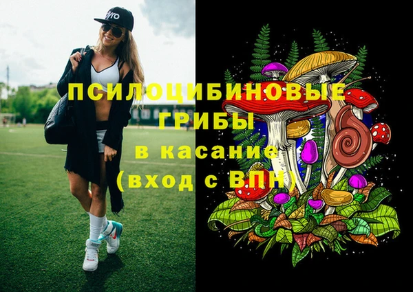 прущие грибы Бугульма