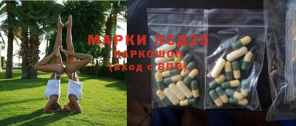 прущая мука Бородино