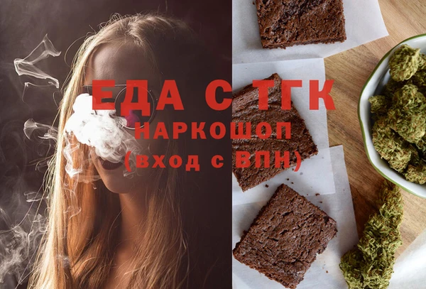 индика Бронницы