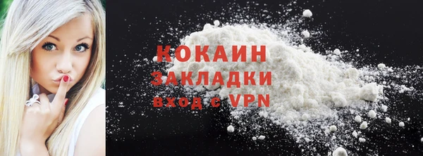 индика Бронницы