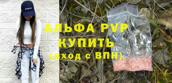 индика Бронницы