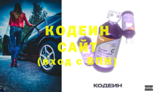 индика Бронницы