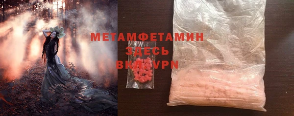 индика Бронницы